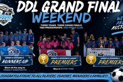 Grand Final Glory for Our DDL Teams
